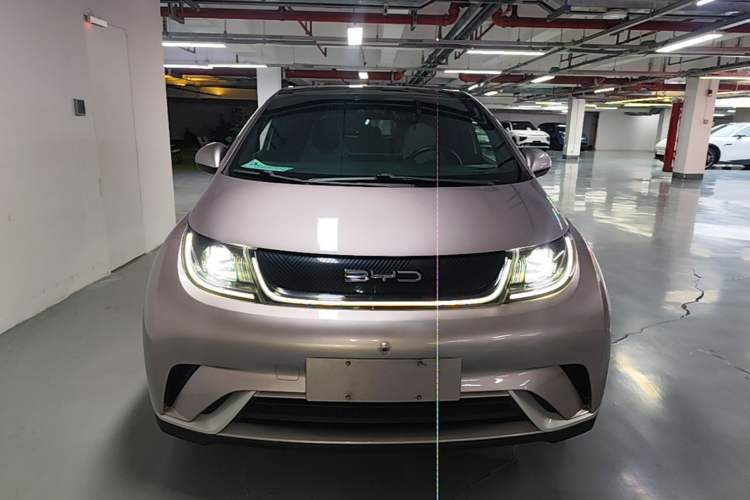 BYD Dolphin 2021 — 2