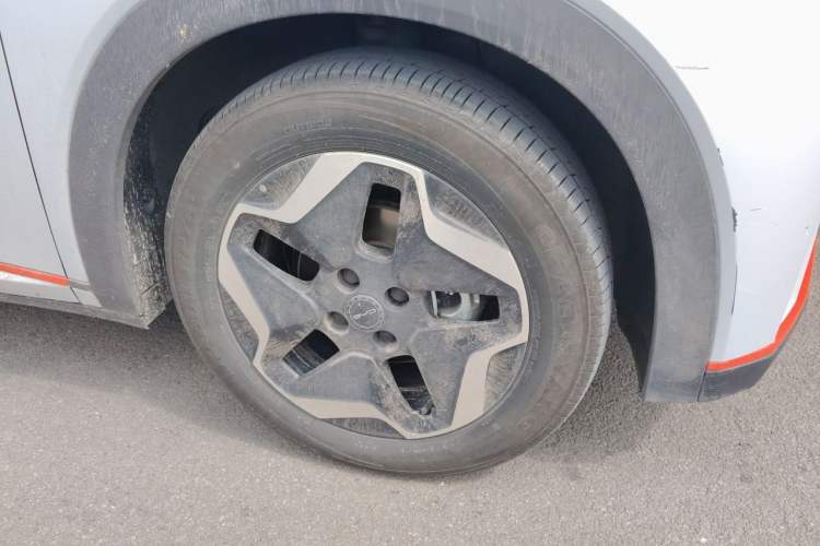 BYD Dolphin 2021 — 5