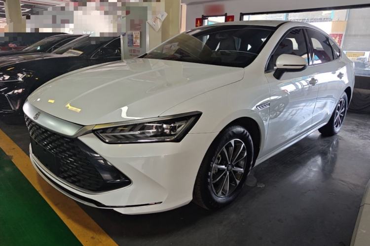 BYD Qin PLUS 2024 — фото 1
