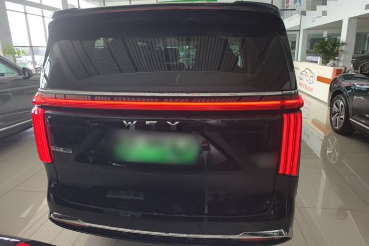 WEY Gaoshan 2025 — 5