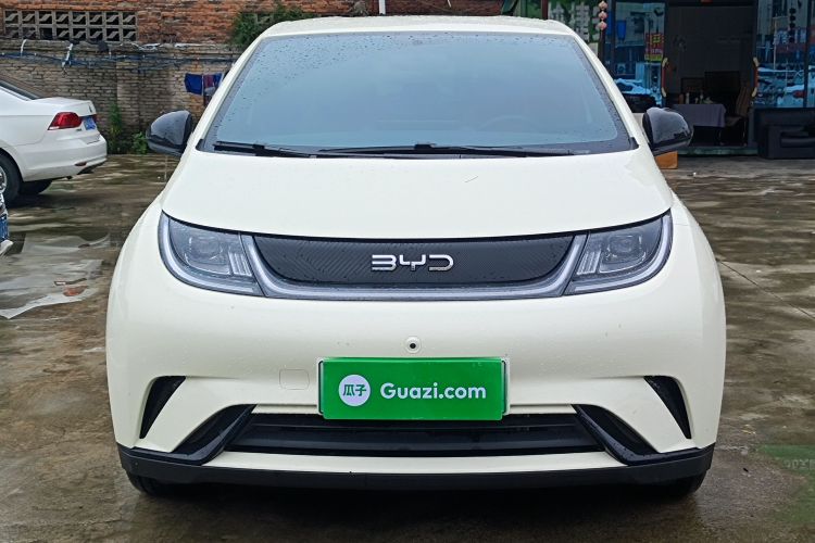 BYD Dolphin 2025 — 2