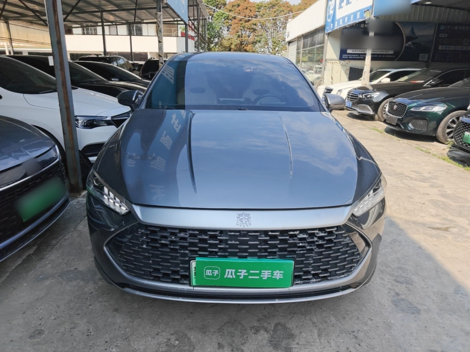 BYD Qin PLUS 2023 — фото 2
