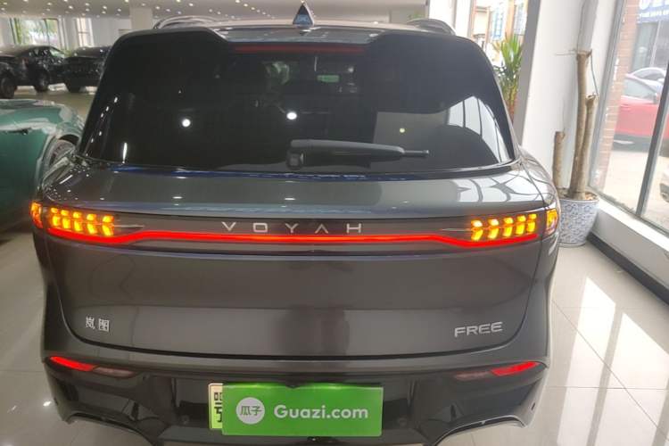 Voyah FREE 2025 — 5