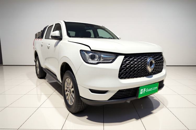 Great Wall Poer 2019 — 3
