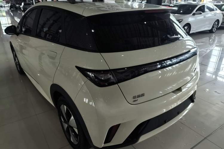 BYD Dolphin 2023 — фото 4