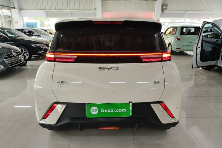 BYD Seagull 2025 — 5