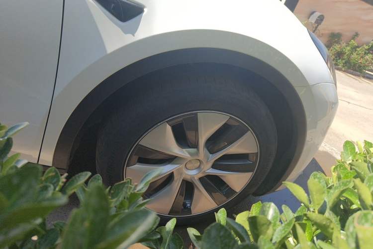 Tesla Model Y 2022 — 5