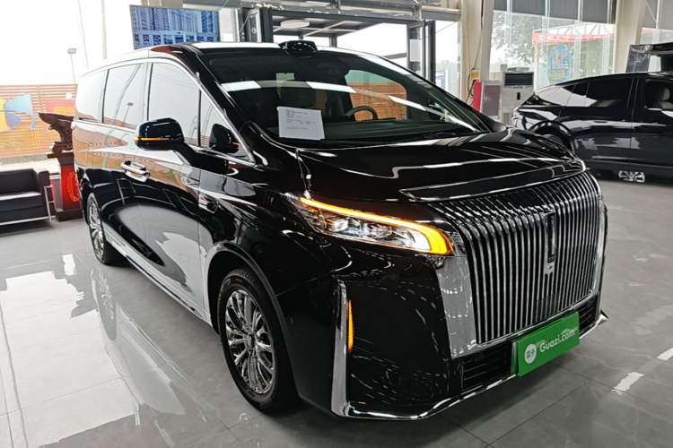 WEY Gaoshan 2025 — 3