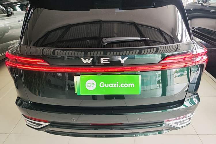WEY Lanshan 2025 — 5