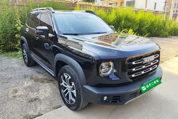 Haval Dargo 2021 — 3