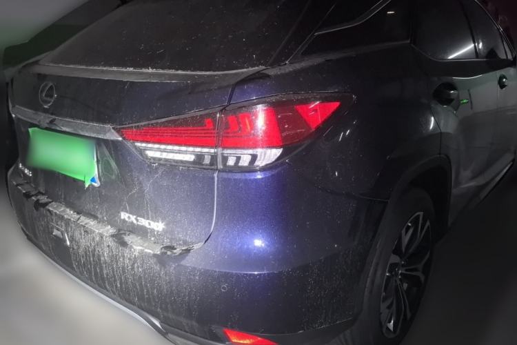 Lexus RX 300 2020 — 5
