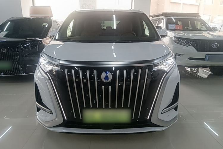 Denza D9 2022 — 2