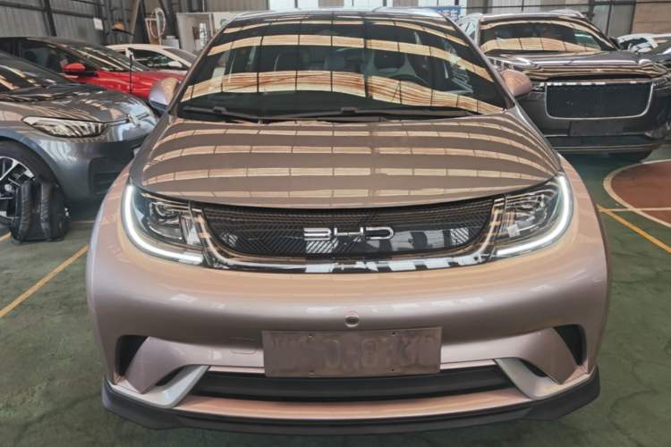 BYD Dolphin 2021 — 2