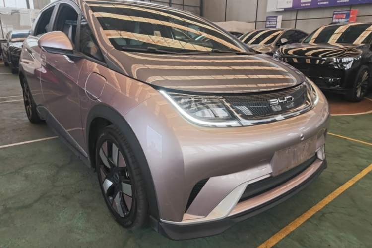 BYD Dolphin 2021 — 3