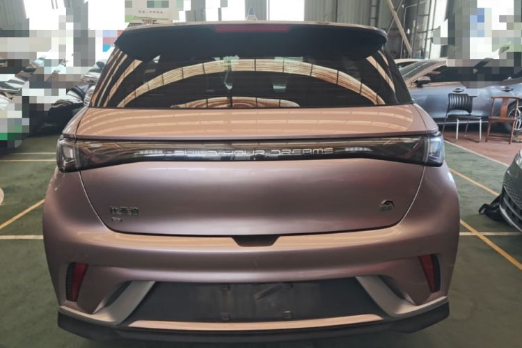 BYD Dolphin 2021 — 5