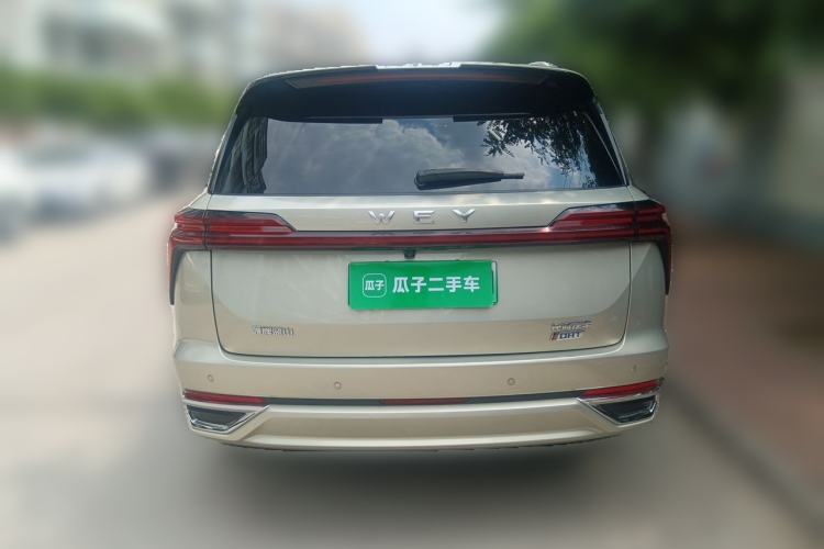 WEY Lanshan 2023 — 3
