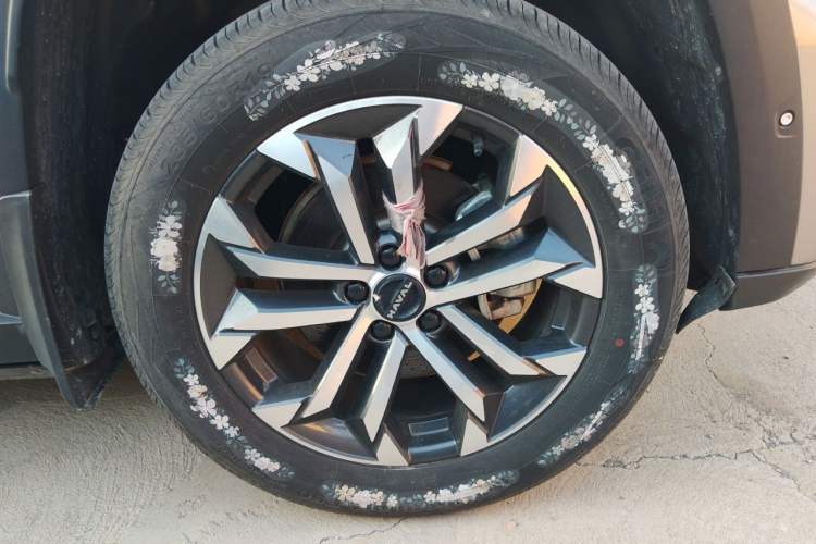 Haval Dargo 2023 — 5