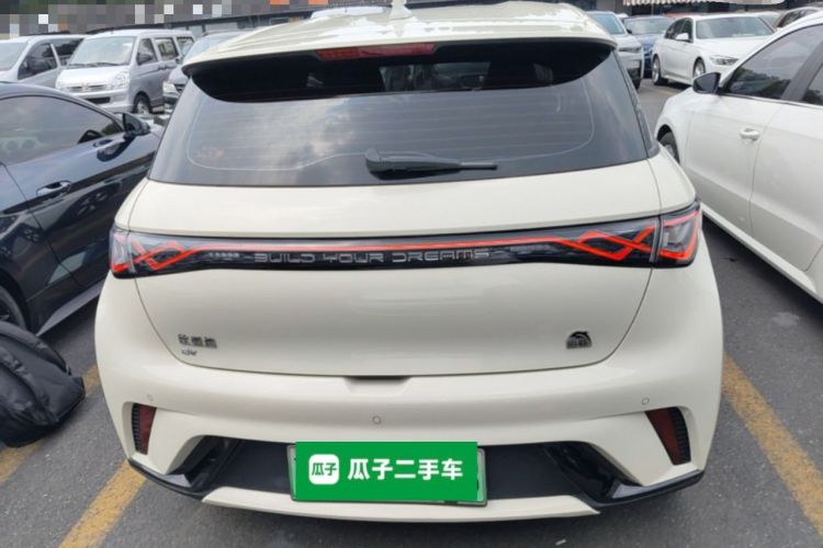 BYD Dolphin 2024 — 5