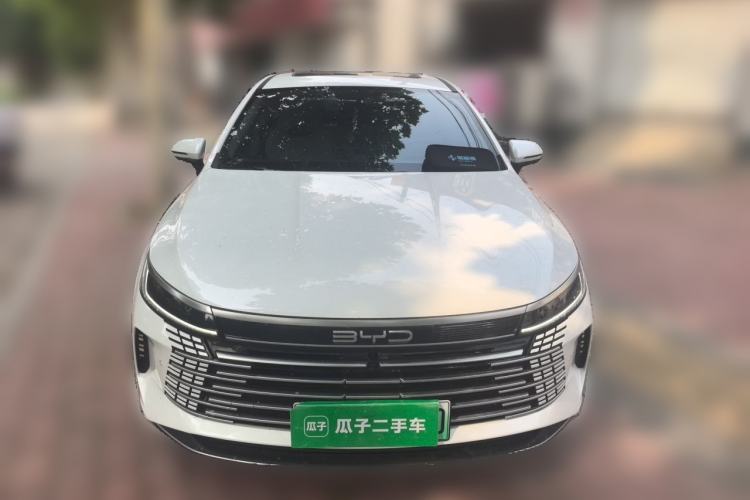 BYD Destroyer 05 2022 — фото 2