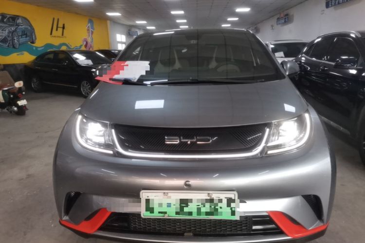 BYD Dolphin 2021 — 2
