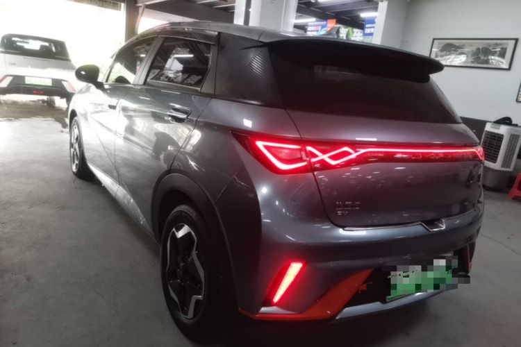 BYD Dolphin 2021 — 4