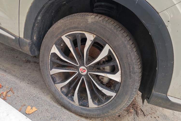 Roewe RX5 eMAX 2020 — фото 5