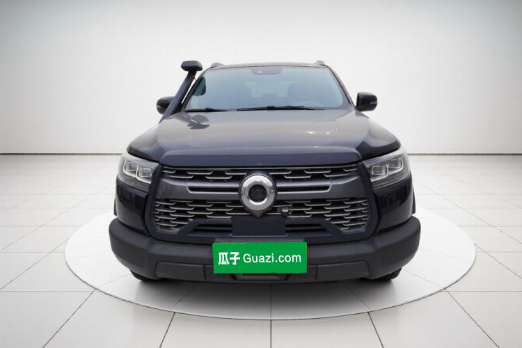Great Wall Poer 2020 — 2