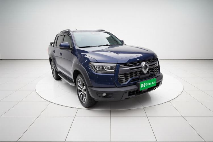 Great Wall Poer 2020 — 3