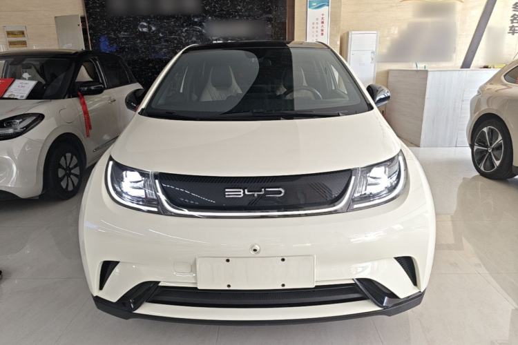 BYD Dolphin 2021 — 2