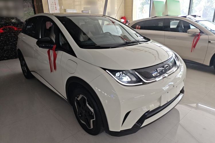 BYD Dolphin 2021 — 3