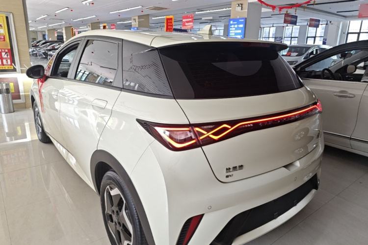 BYD Dolphin 2021 — 4