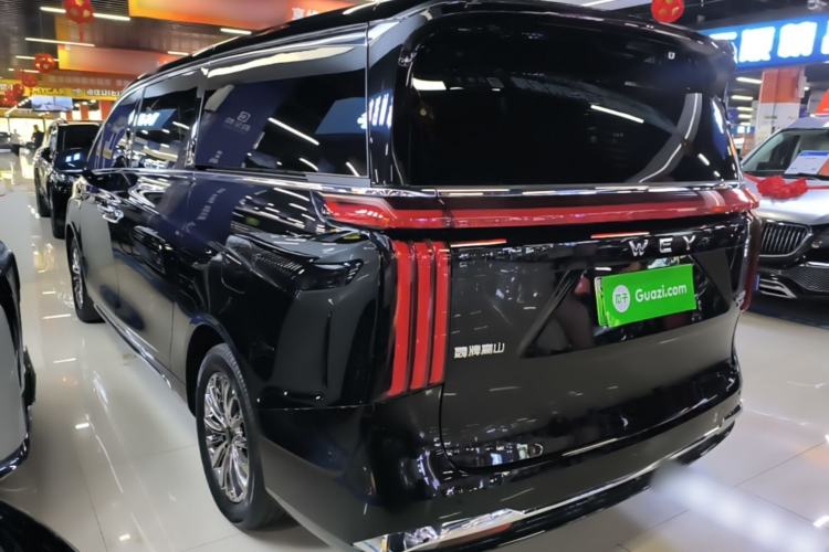 WEY Gaoshan 2023 — 4