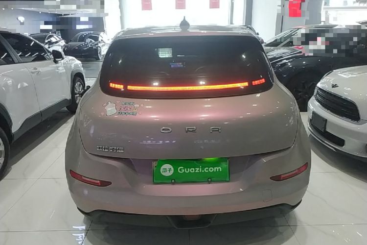 Ora Good Cat 2023 — 5