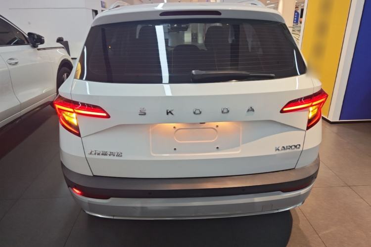 Skoda karoq 2020 — фото 5