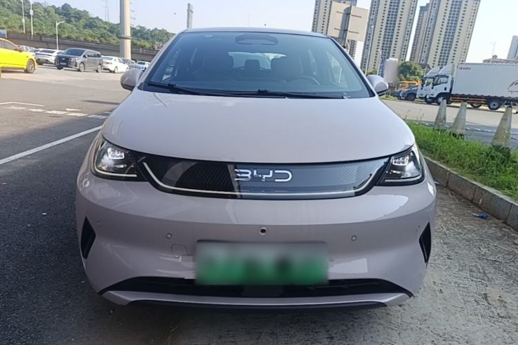 BYD Dolphin 2025 — 2