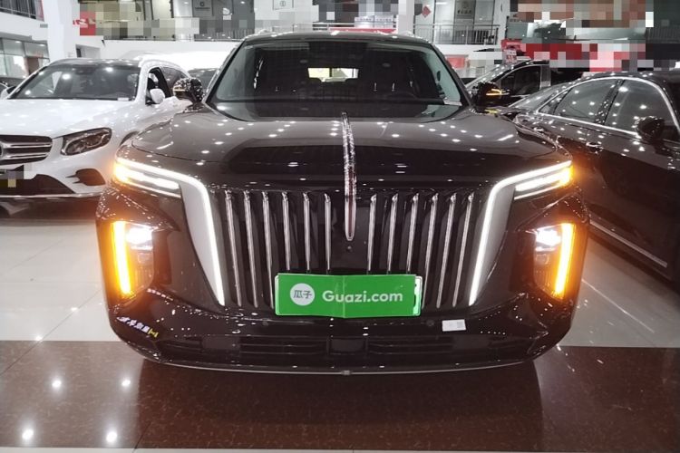Hongqi e hs9 2021 — фото 2