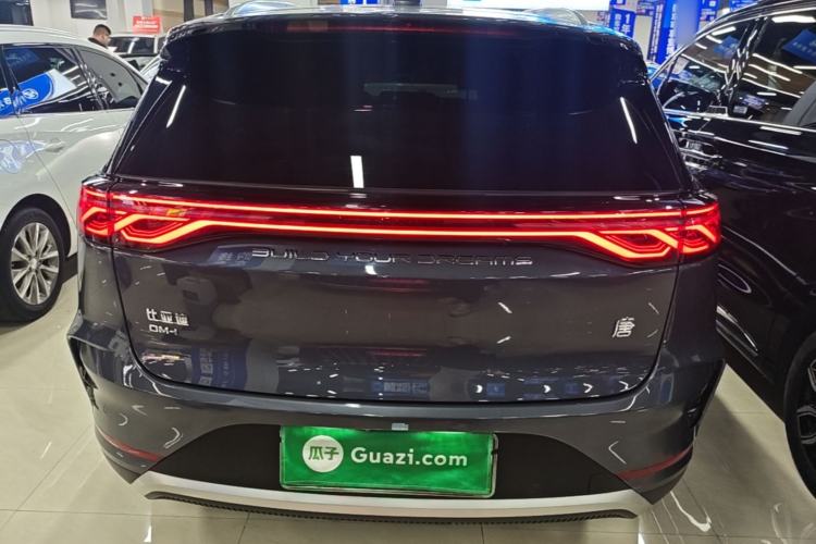 BYD Tang 2024 — 5