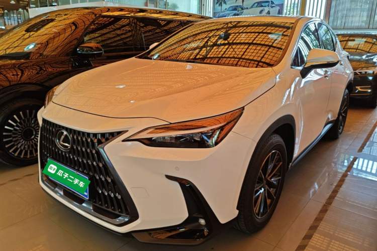 Lexus nx 2024 — фото 1