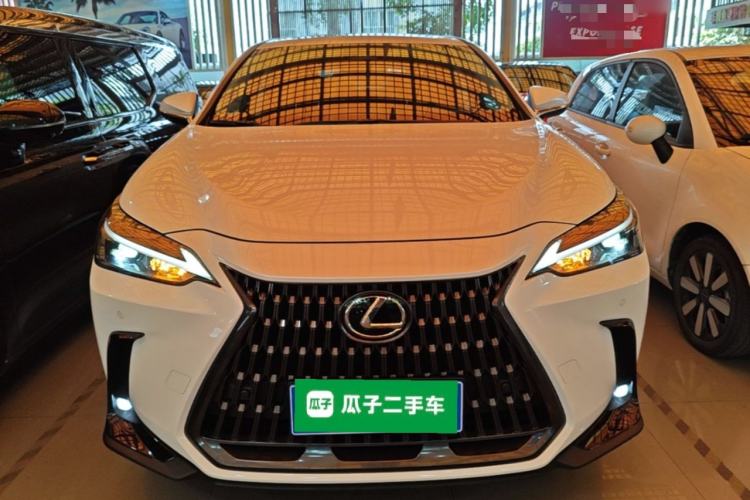 Lexus nx 2024 — фото 2