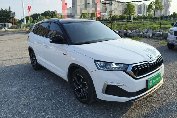 Skoda Kamiq 2020 — фото 3