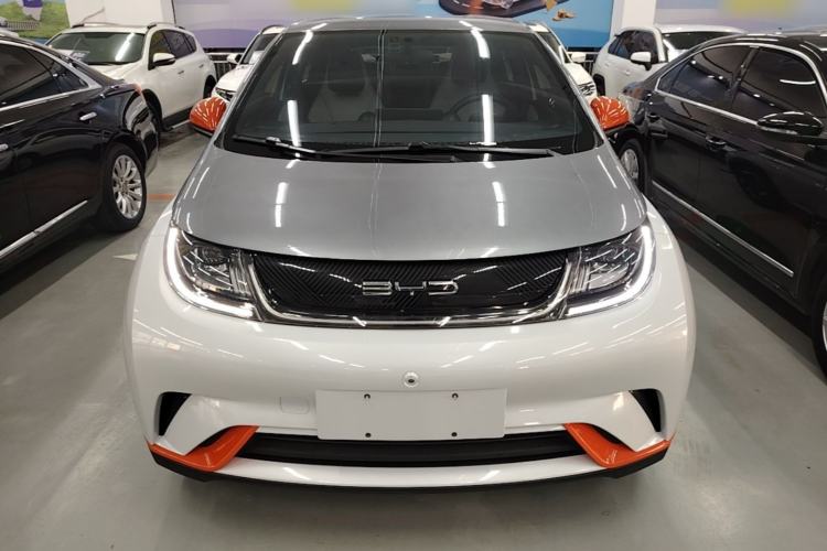 BYD Dolphin 2021 — 2