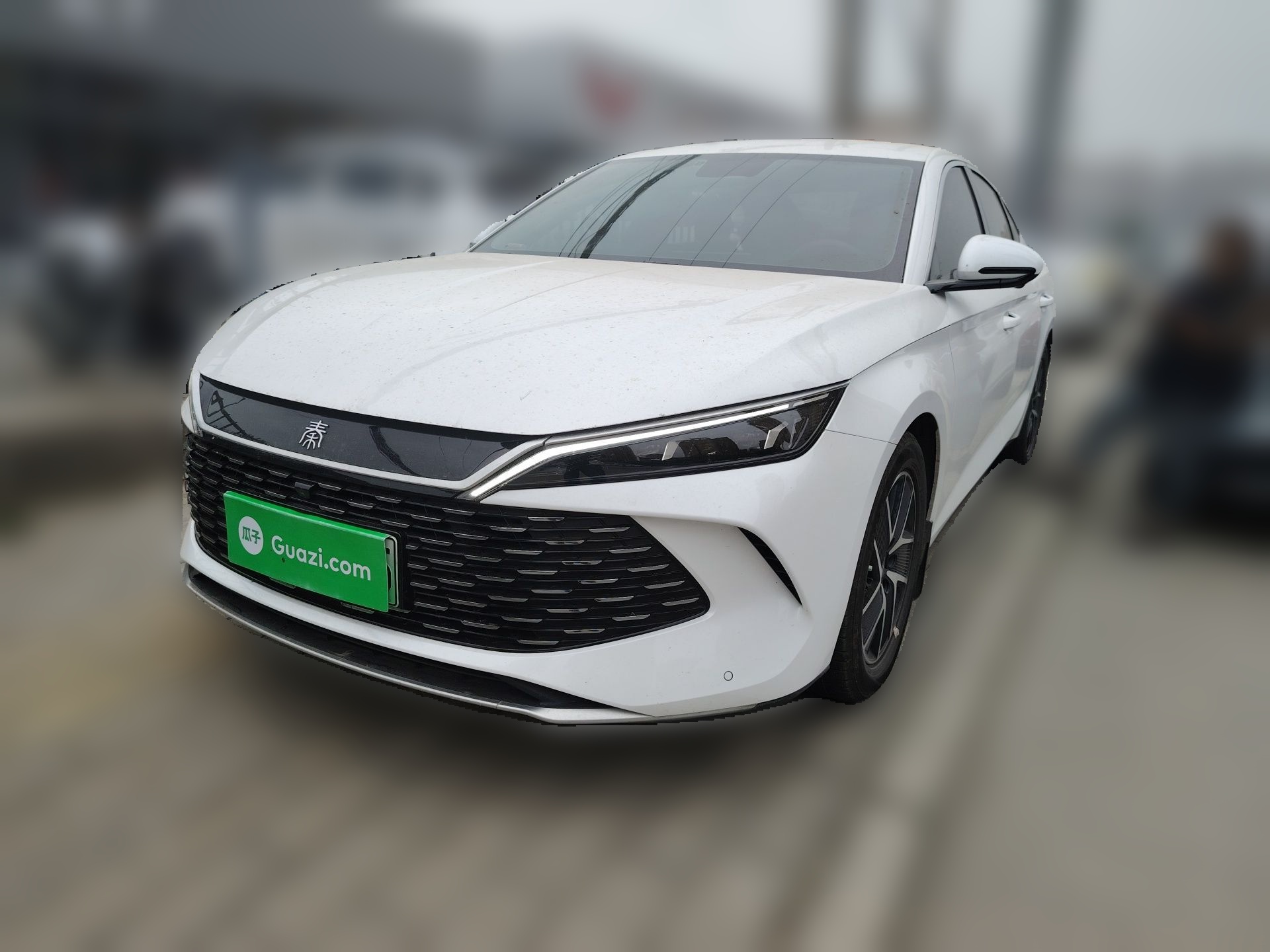 BYD Qin L 2024 — фото 1