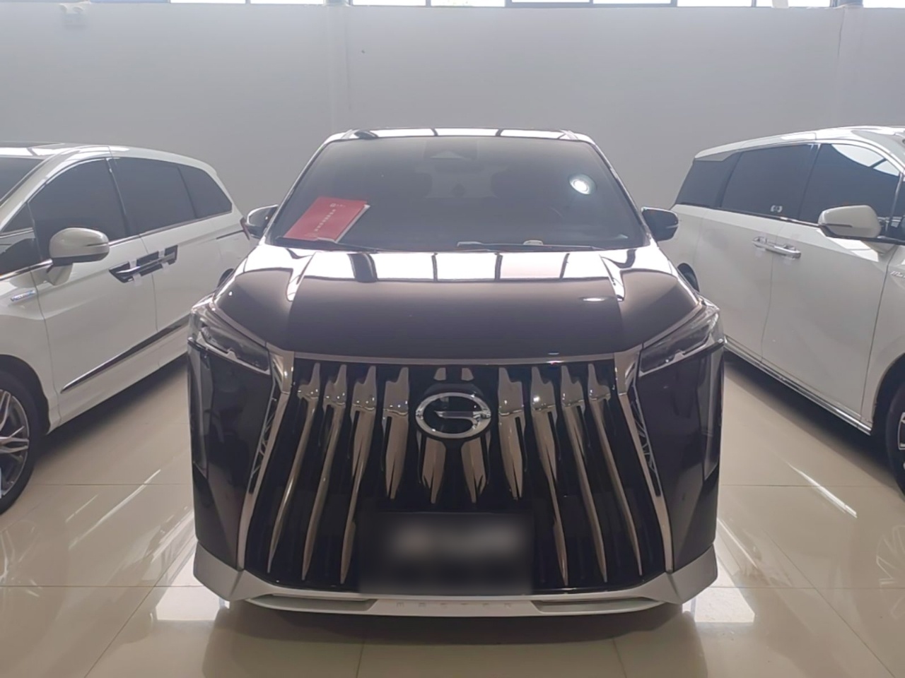 GAC Motor trumpchi m8 2023 — фото 2