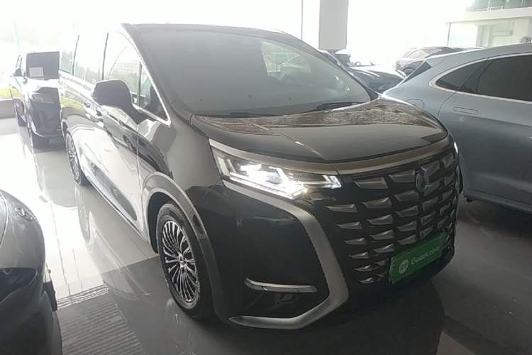Denza D9 2024 — 3