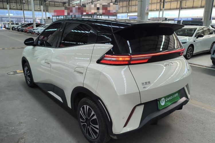 BYD Seagull 2025 — 4