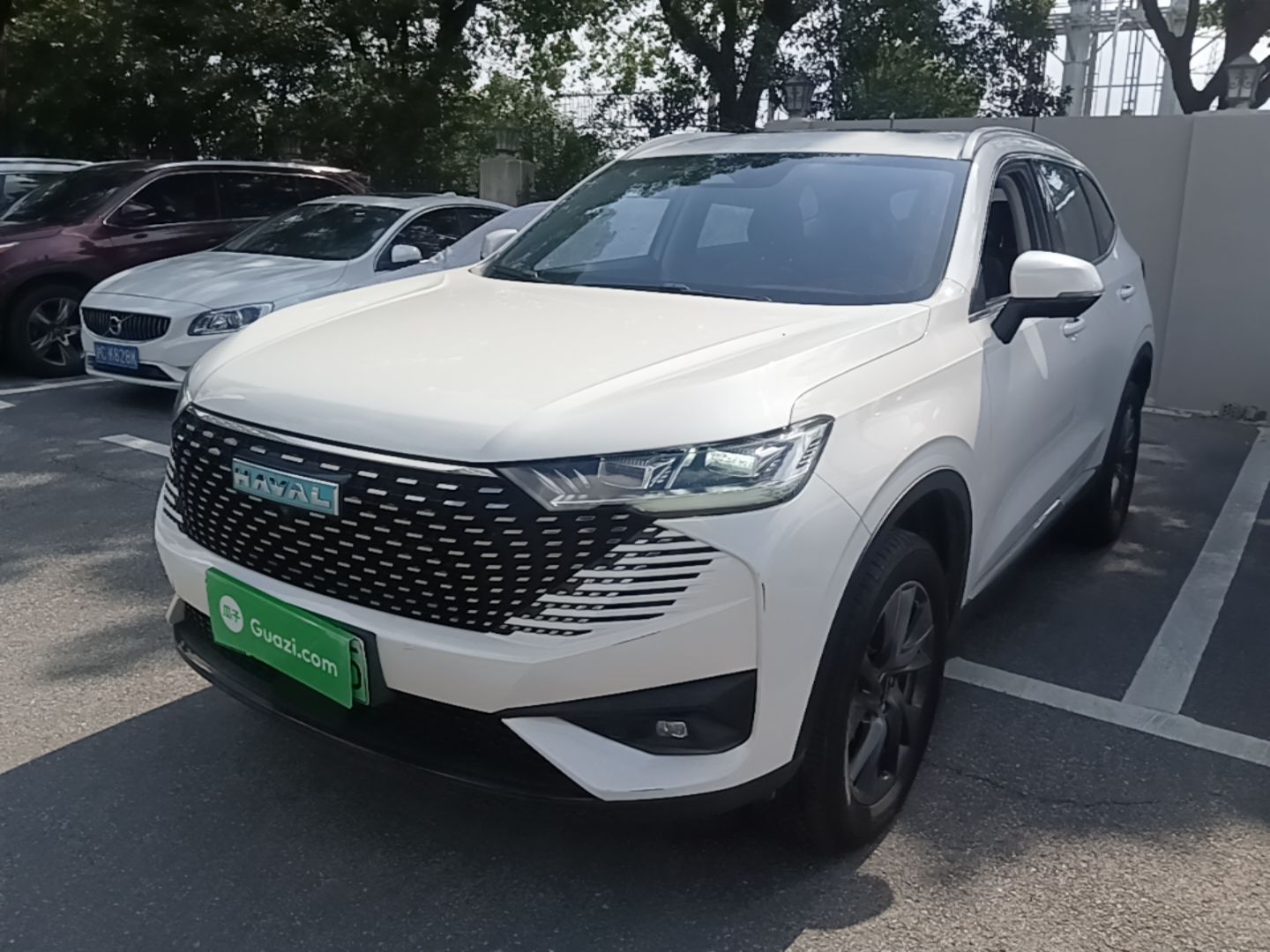 Haval h6 new energy 2023 — фото 1