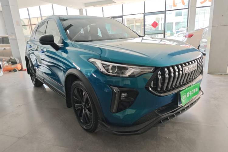 Haval LHERY 2021 — 3