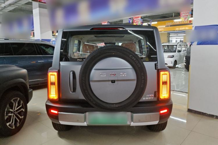 Haval Raptor 2026 — 5