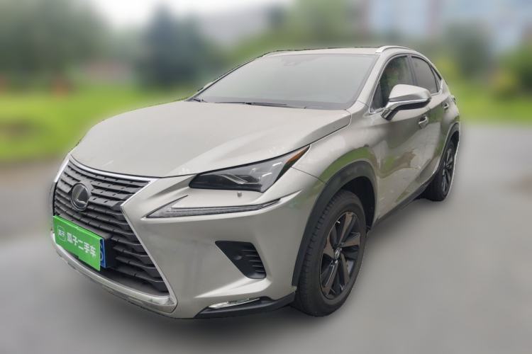 Lexus nx 2020 — фото 1
