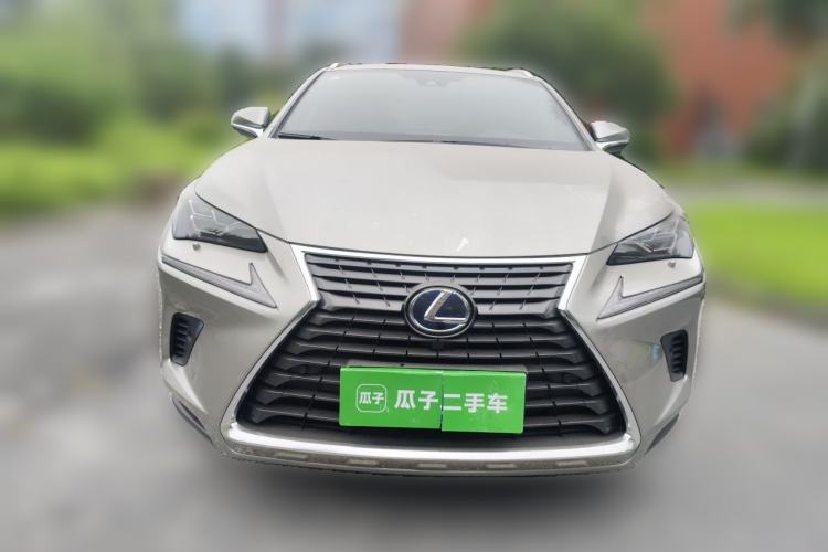 Lexus nx 2020 — фото 2
